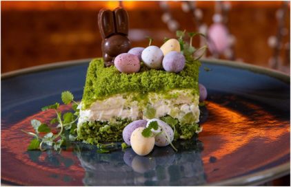 An indoor food image of a green-topped cake slice with chocolate and candy decorations.