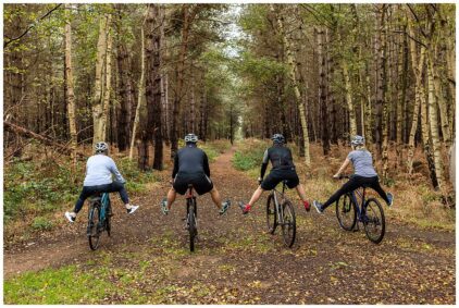 Four cyclists ride through a forest trail in this outdoor scene.