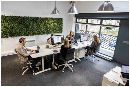 Indoor image of a modern office with people working at desks and a green wall decoration.